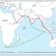 Routes used by the VOC slave ships juxtaposed against the predicted movements of Haplogroup M. https://en.wikipedia.org/wiki/Haplogroup_M_(mtDNA)